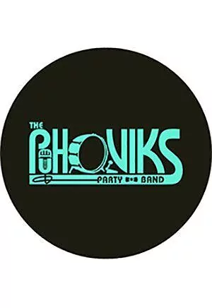 Кавер-Группа  «THE PUHOVIKS»