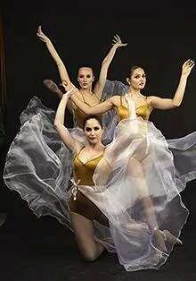 Гимнастическое шоу   «Монсеррат»