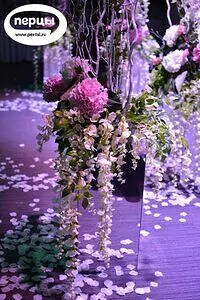 Портфолио оформителя Татьяны Безручко