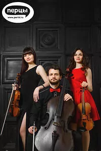 Портфолио струнного коллектива «Sunlight»