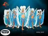 Шоу - балет «РИО»  