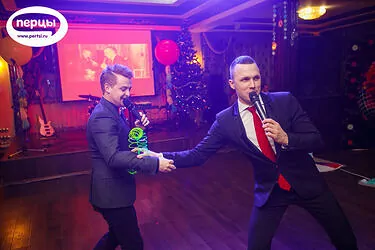 Ведущие на новый год