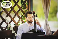 Портфолио струнного коллектива «Sunlight»