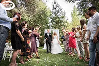 Портфолио свадебного фотографа Анны Федоренко