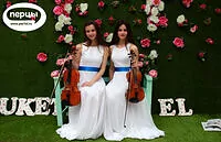 Портфолио струнного коллектива «Sunlight»