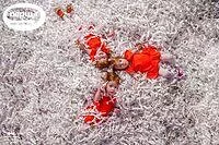 Бумажное шоу 