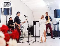 Группа NightLiveProject