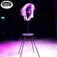 Портфолио шоу 