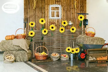 фотозона на корпоративе