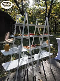 портфолио банкетной площадки шатёр FOREST PARK