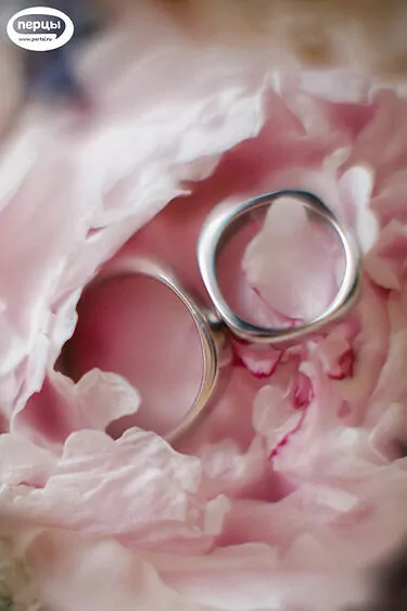 кольца молодожёнов и декор