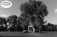 ведущий Волгоград Никита Бойко