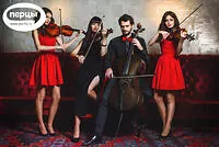 Портфолио струнного коллектива «Sunlight»