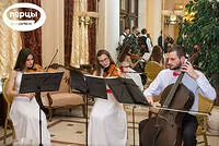 Портфолио струнного коллектива «Sunlight»