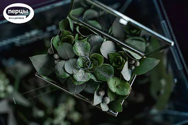 свадебный декор на свадьбу