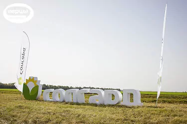 Портфолио дня поля