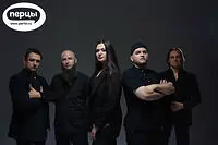 портфолио кавер группы мадрид