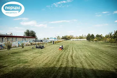 музыкальный фестиваль Event