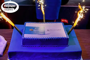 портфолио организация конференции и презентации