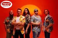 портфолио кавер группы мадрид