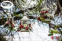 Портфолио оформителя Татьяны Безручко