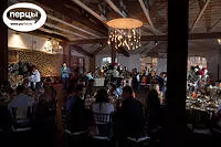 Портфолио свадебного ведущего Антона Шлопака