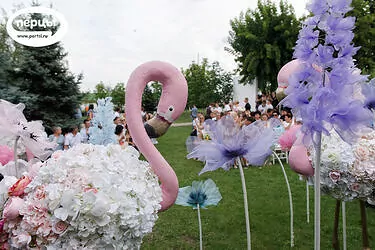 фламинговый декор выездной регистрации