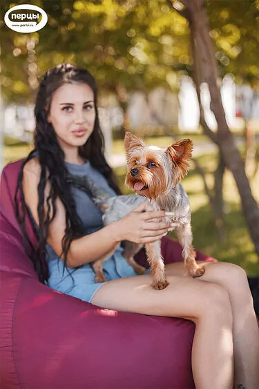 организация праздников и мероприятий