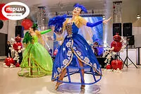 Портфолио гимнастического шоу «Монсеррат»