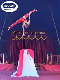 Портфолио шоу 