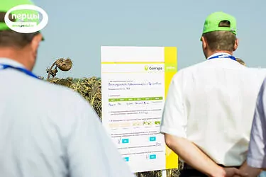 Презентация День поля