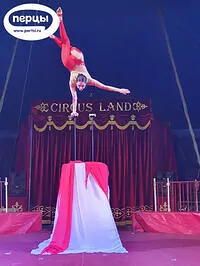 Портфолио шоу 