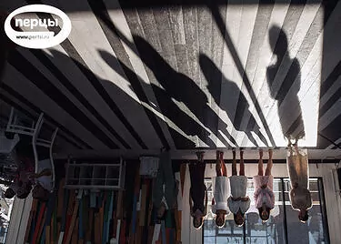 организация свадьбы