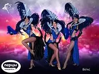 Шоу - балет «РИО»  