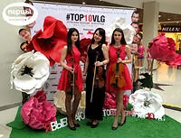 Портфолио струнного коллектива «Sunlight»