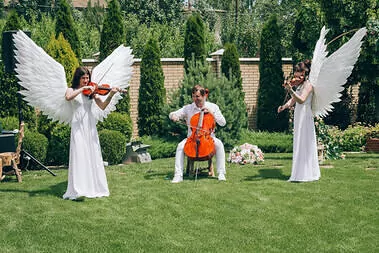 Шоу-программа