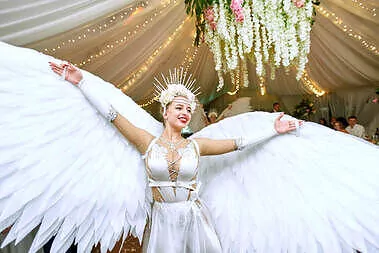 Шоу-программа