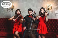 Портфолио струнного коллектива «Sunlight»