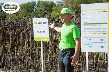 борьба с вредителями день поля