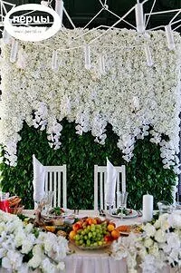 Портфолио оформителя Татьяны Безручко