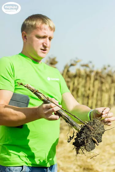 Презентация обработка полей