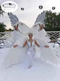 Портфолио гимнастического шоу «Монсеррат»