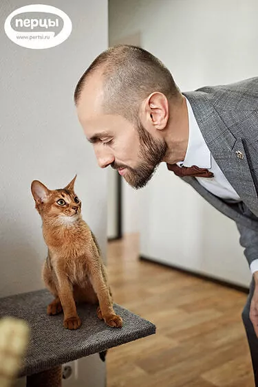 организация свадьбы