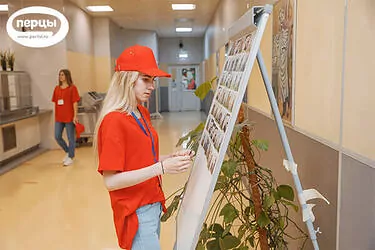 организация мероприятий