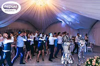 Портфолио шатра