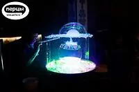 Портфолио шоу гигантских мыльных пузырей «Чудеса в решете»