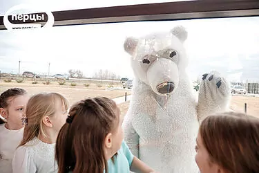 организация праздников волгоград