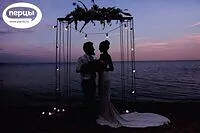 Портфолио оформителя Татьяны Безручко