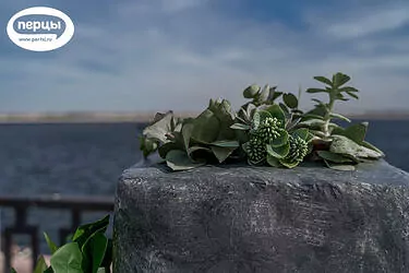 свадебная вечеринка организация декор портфолио