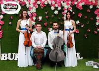 Портфолио струнного коллектива «Sunlight»